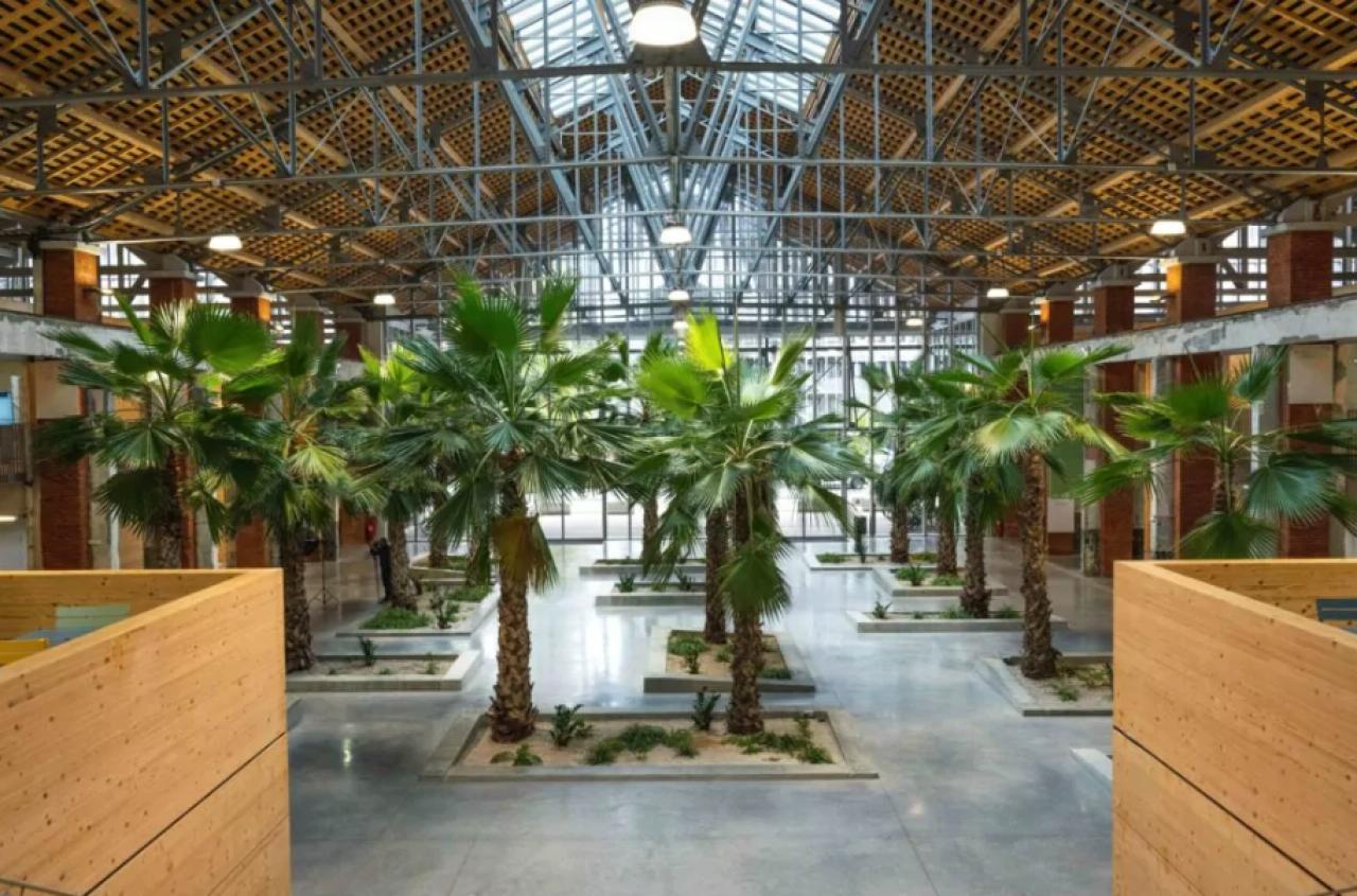 Location Coworking Toulouse Haute-Garonne OLBUR2531608 1
