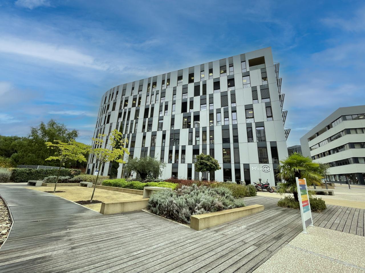 Location Bureau Montpellier Hérault OLBUR2315330 1