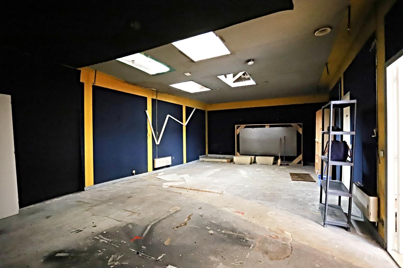 Vente Local d'activité Ivry-sur-Seine Val-de-Marne OVACT2108708 1