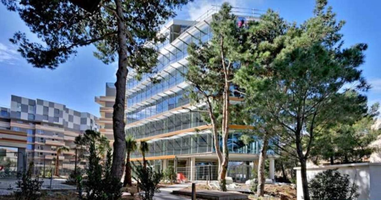 Location Bureau Castelnau-le-Lez Hérault OLBUR2426819 1