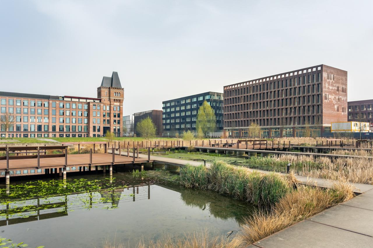 Location Bureau Lille Nord OLBUR2114216 1