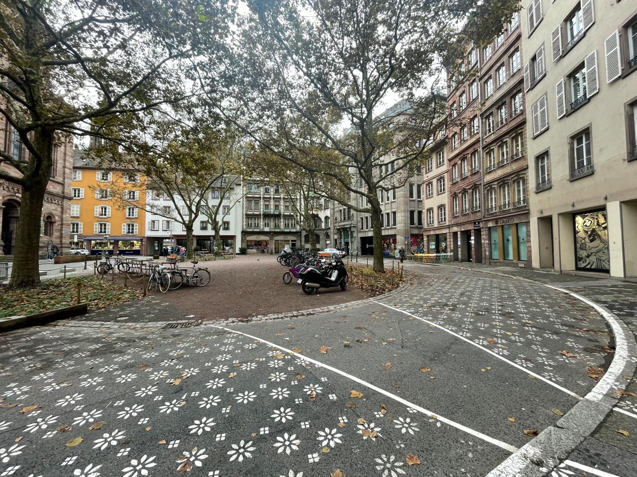 Location Bureau Strasbourg Bas-Rhin OLBUR2426654 1