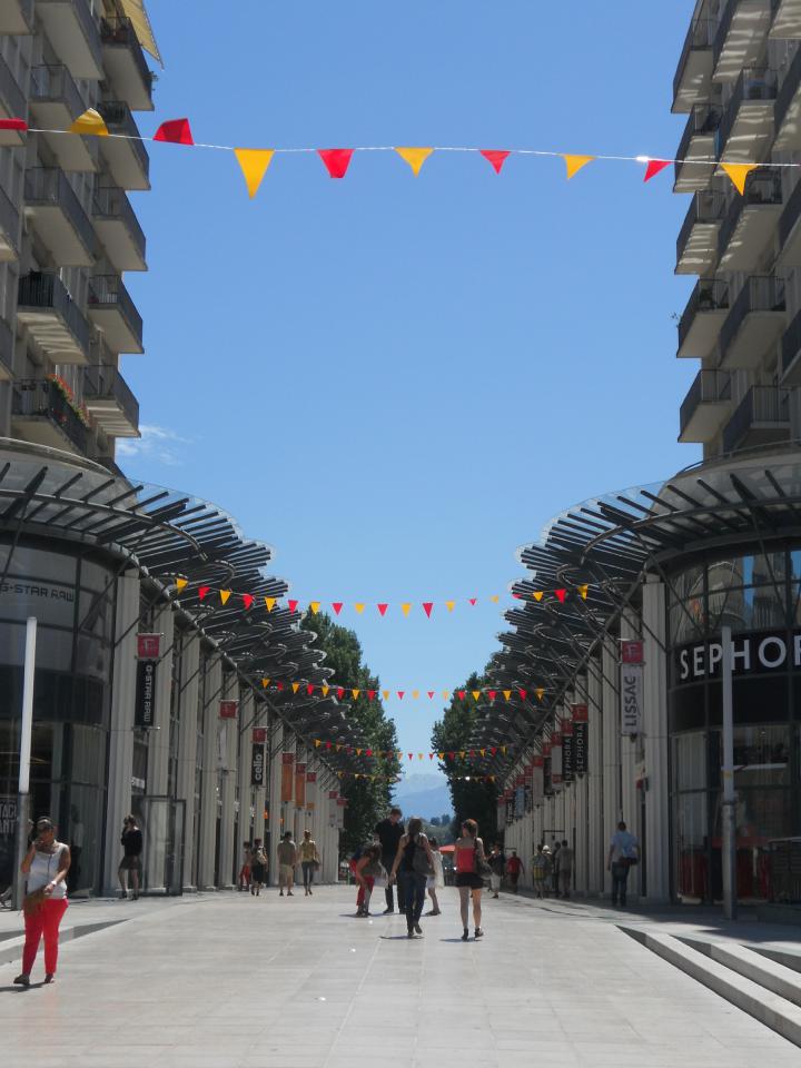 Location Commerce Pau Pyrénées-Atlantiques OLCOM2203925 1