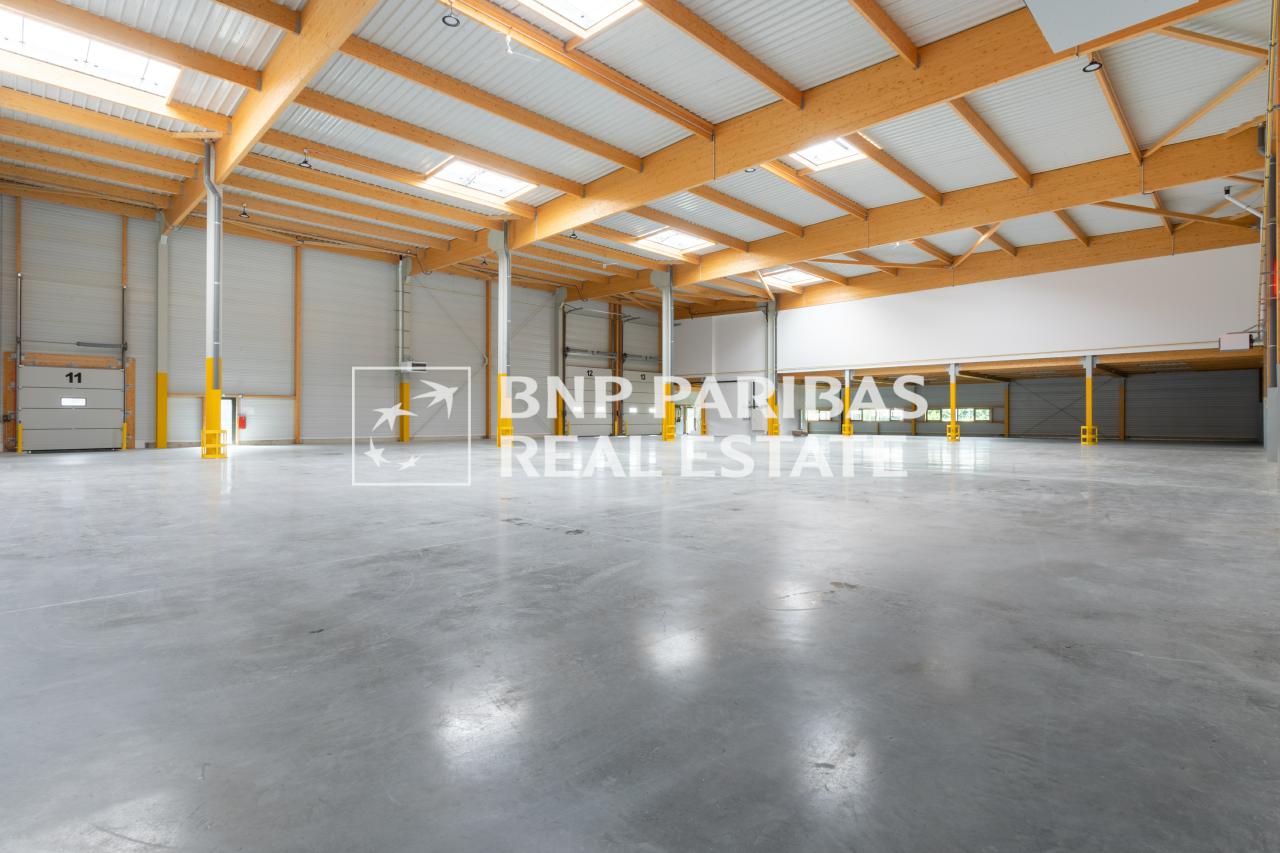 Location Local d'activité Brie-Comte-Robert Seine-et-Marne OLACT2422780 1