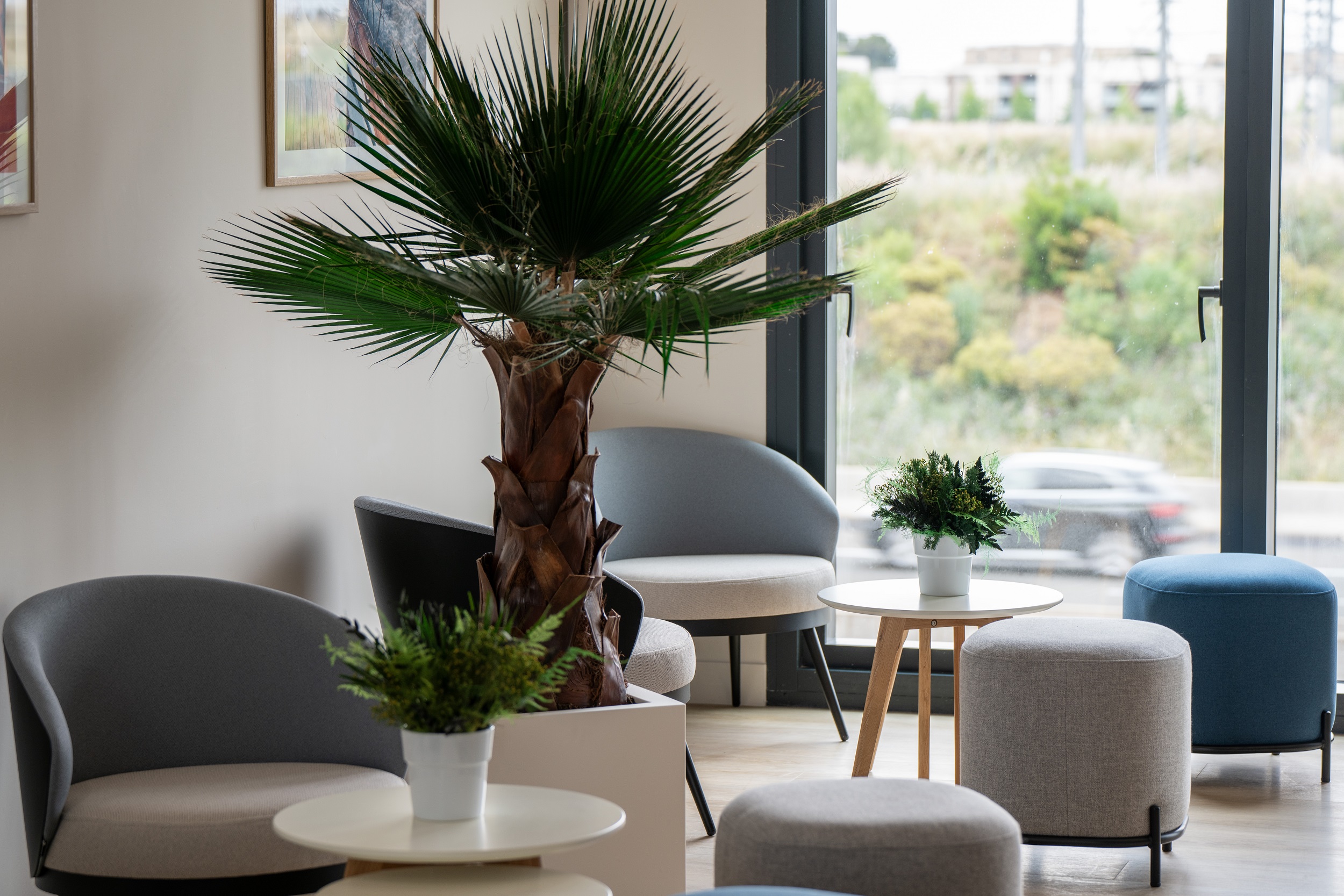Flex-o, coworking