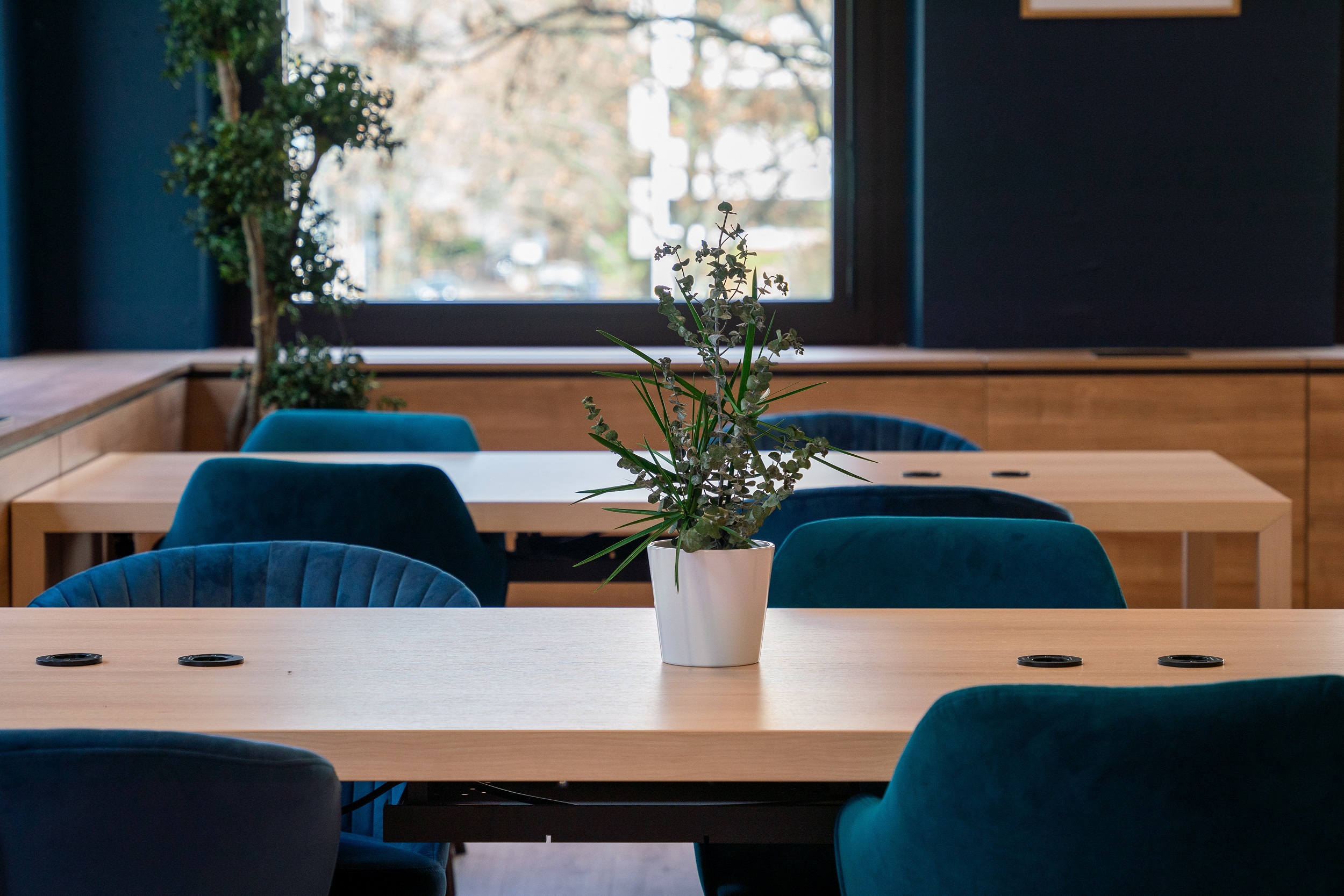 Flex-o, coworking