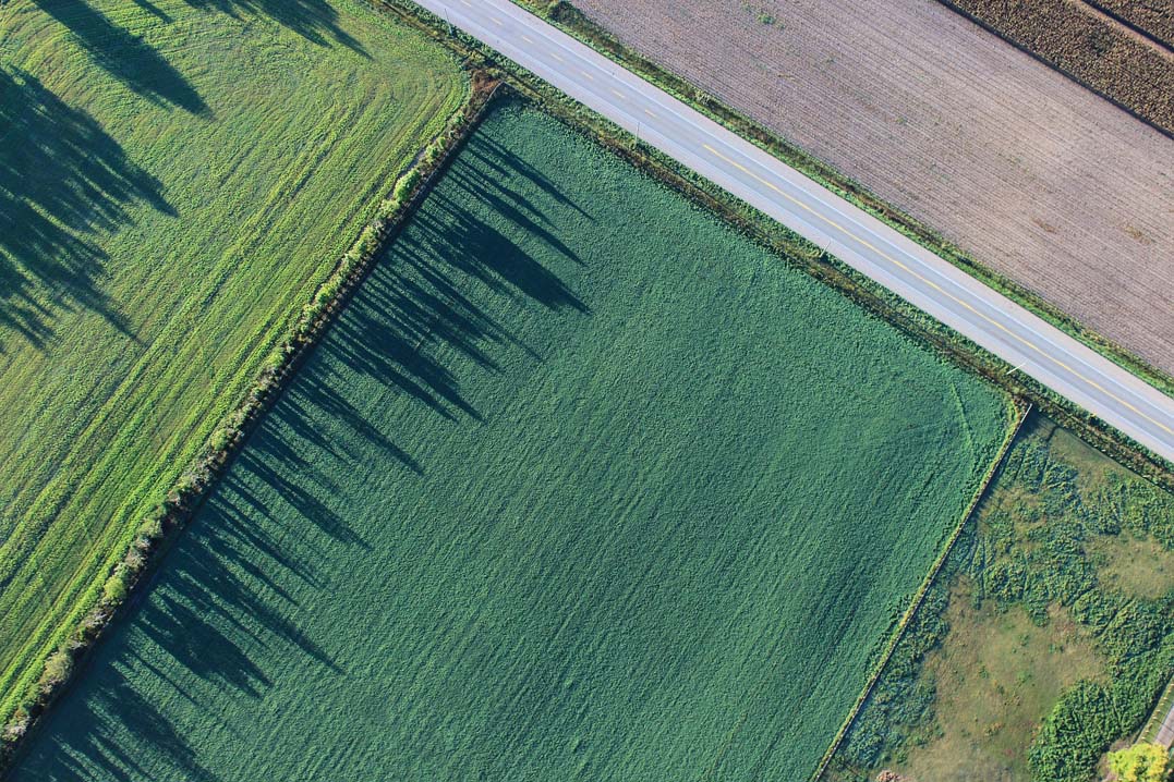 location terrain