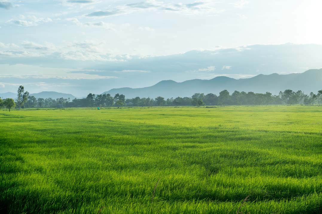 location terrain agricole